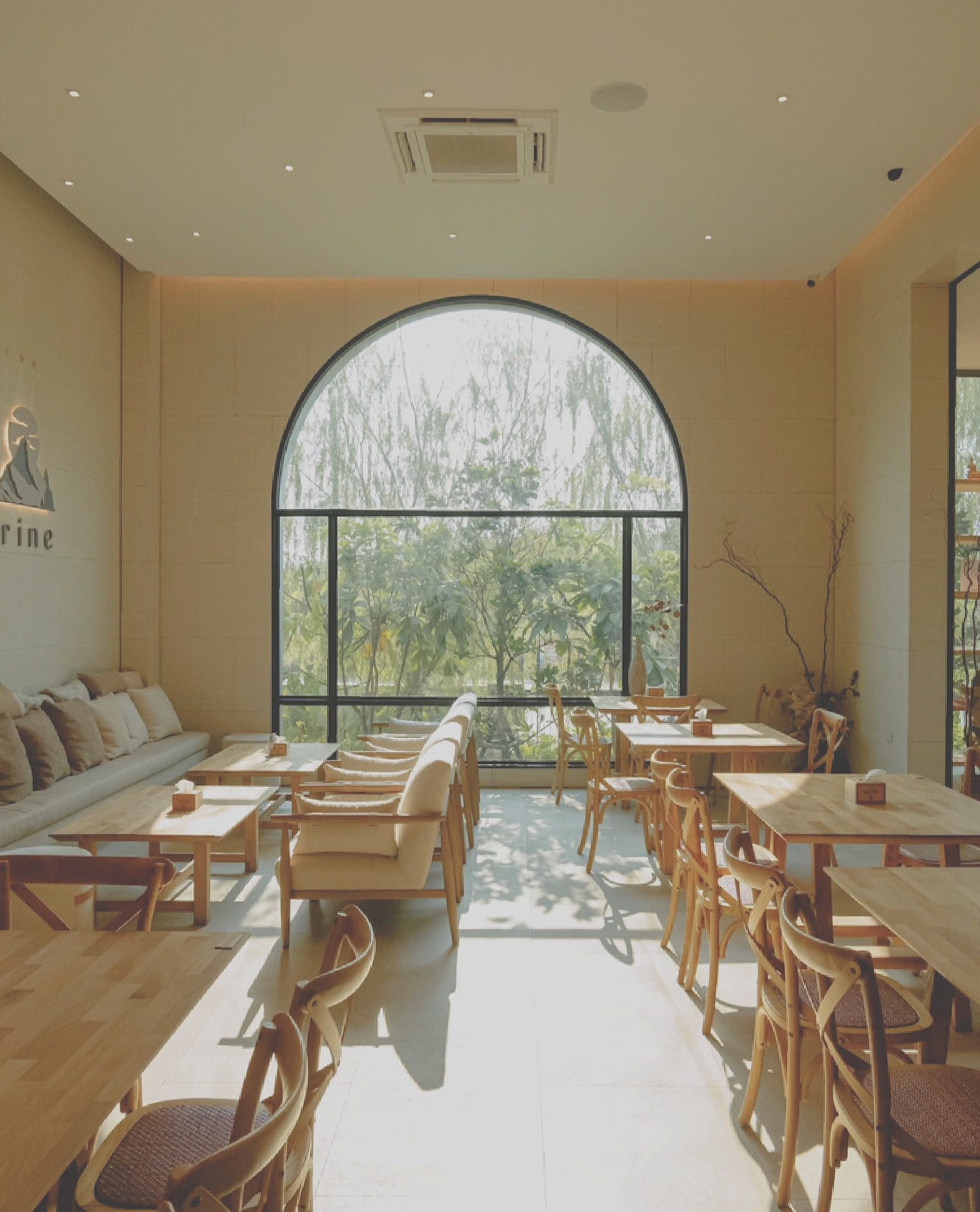 Tarine Café and Restaurant — warm natural woods and soft light