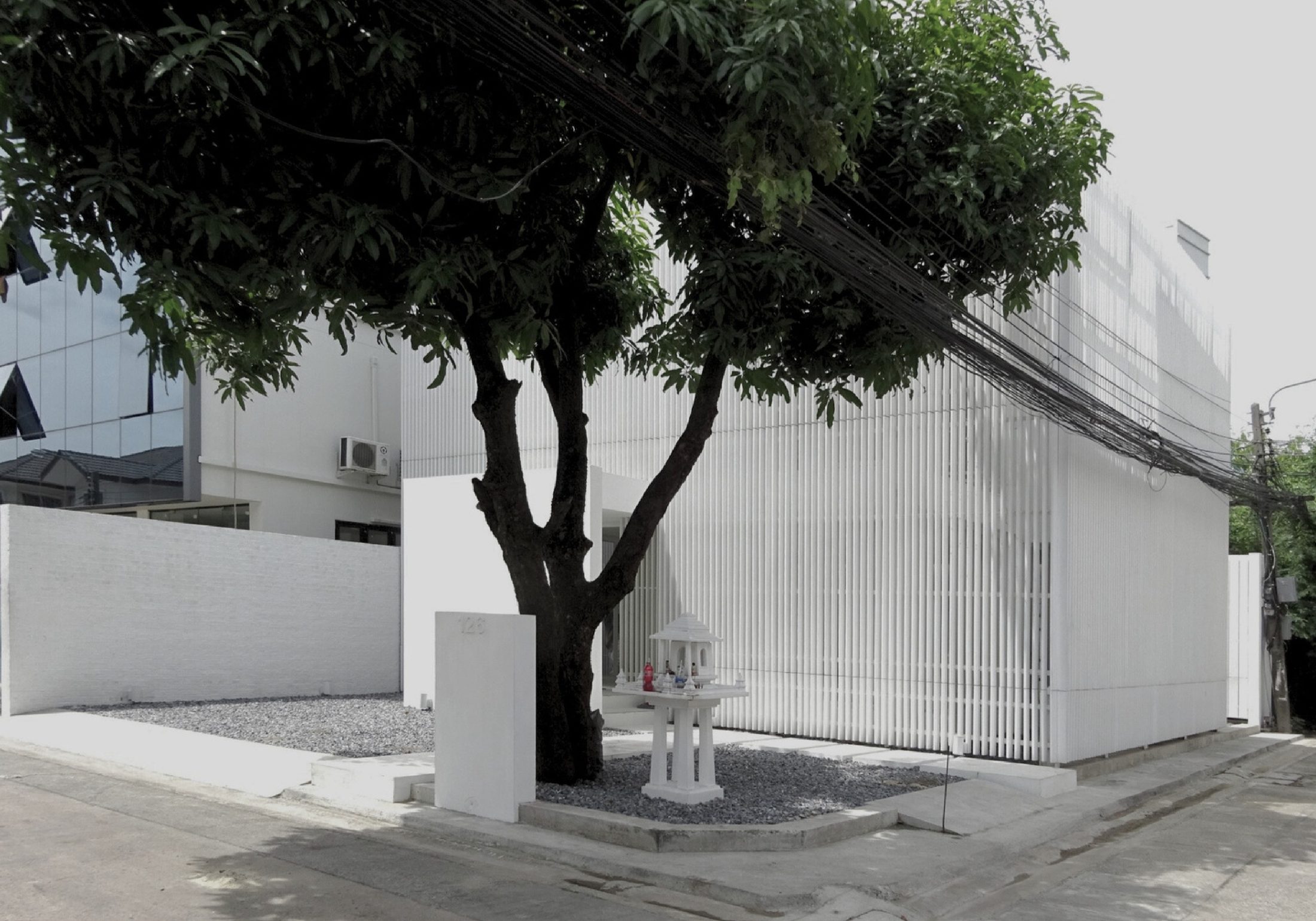 White Space — Dongchong project
